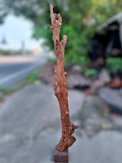 RUSTIC DRIFTWOOD ART