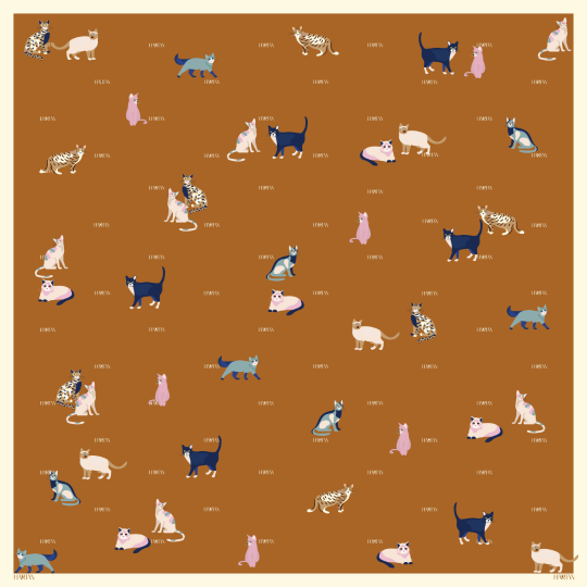 The Clowder of Catso 2.0