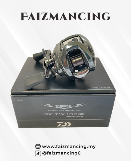 DAIWA STEEZ SV TW 100L (NEW IN BOX)