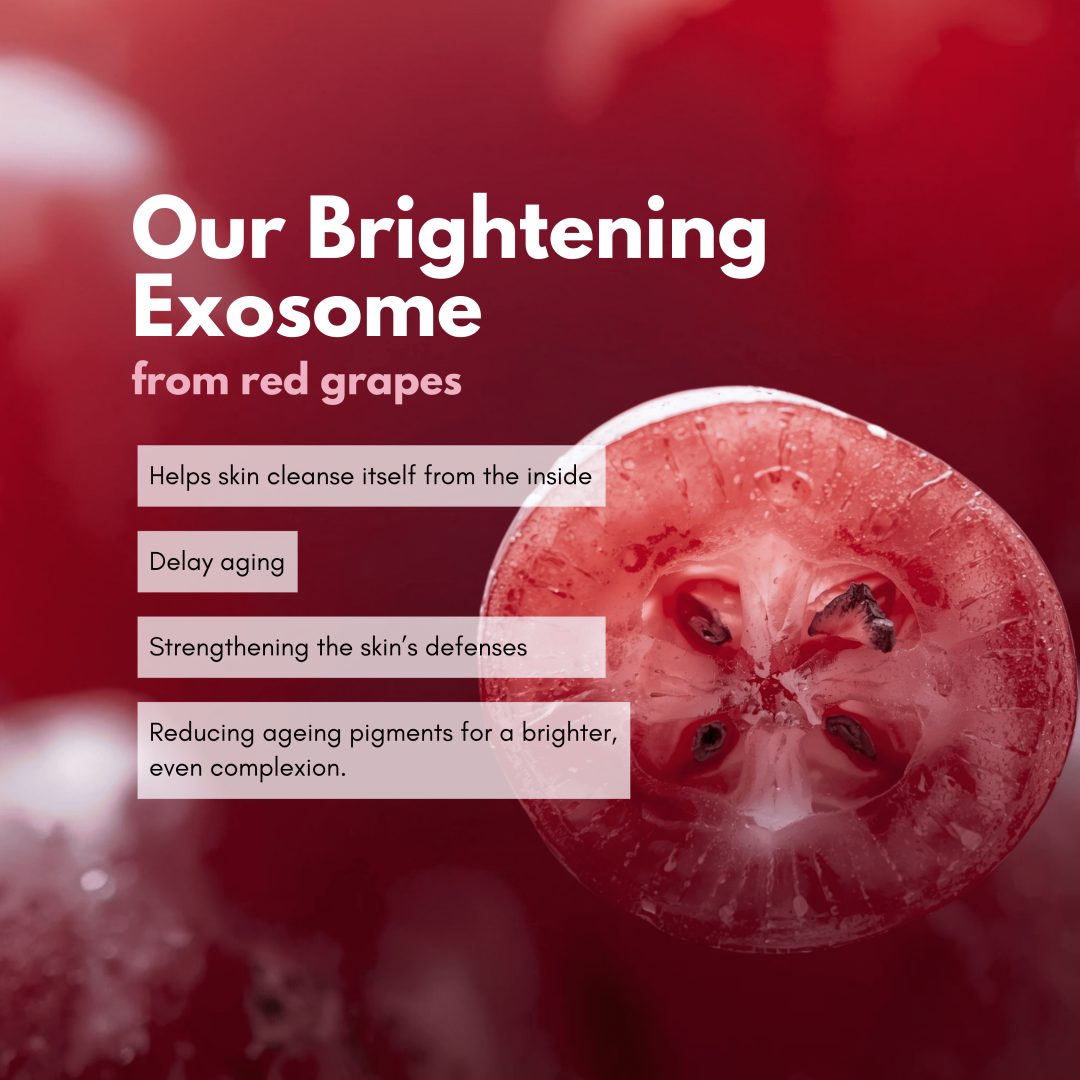 Multibright Dark Spot Serum 30ml (PRE-ORDER) - Image 2