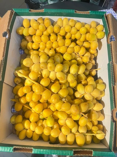 Fresh Date (Kurma Muda) 100g