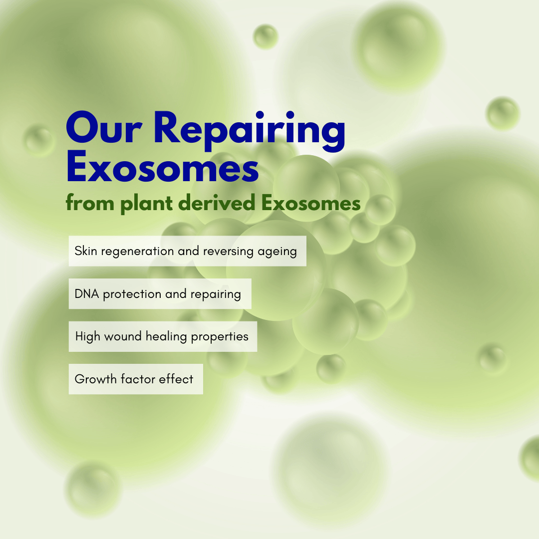 Pepti-Exosome Repairing Ampoule 30ml - Image 2