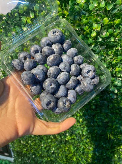 CHINA BLUEBERRY