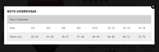 Boys Brief 4 Pack Red Logo & Grey Camo