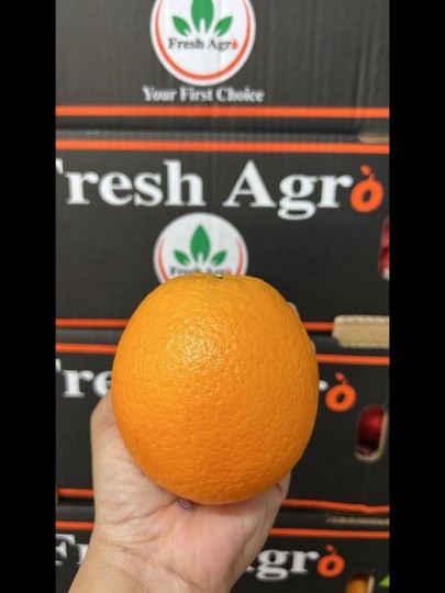 CHINA NAVEL ORANGE (1PC)