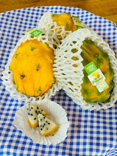 Ecuador Yellow Pitaya (1pcs)