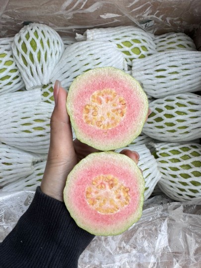 VIETNAM PINK GUAVA (1KG)