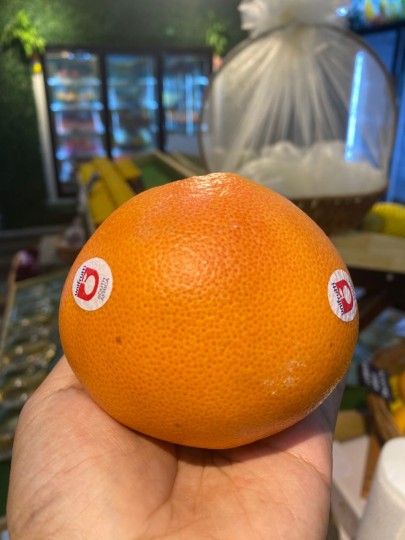 SOUTH AFRIKA GRAPEFRUIT