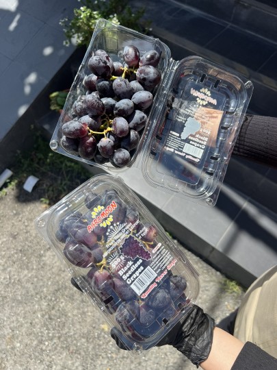 Egypt Black King Grapes 1box 500g