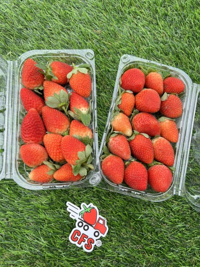 Egypt Strawberry 1box (250g)