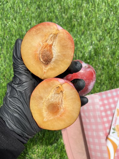 Usa Flavour Fall Plum 1pcs