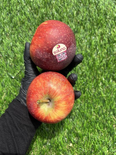 Australia Soluna Apple 1pcs