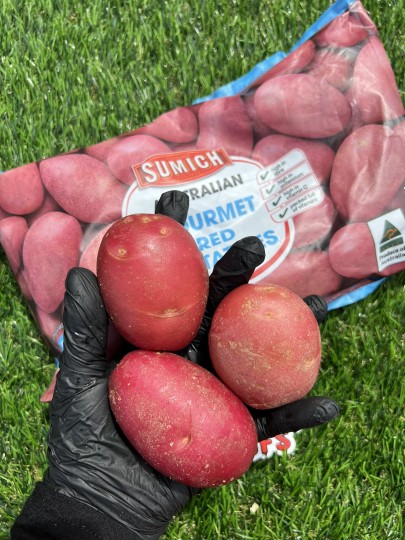 Australia Red Potato 1pack 750g