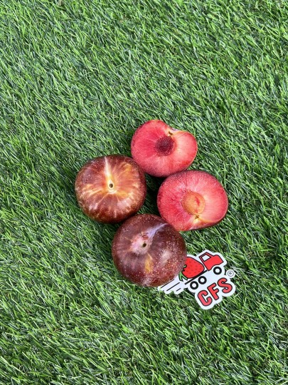 Australia Crog Egg Plum