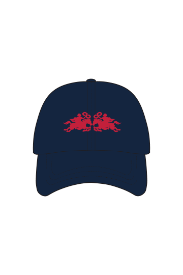 DENIM CAP
