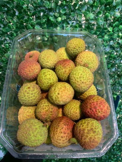 CHINA GREEN LYCHEE