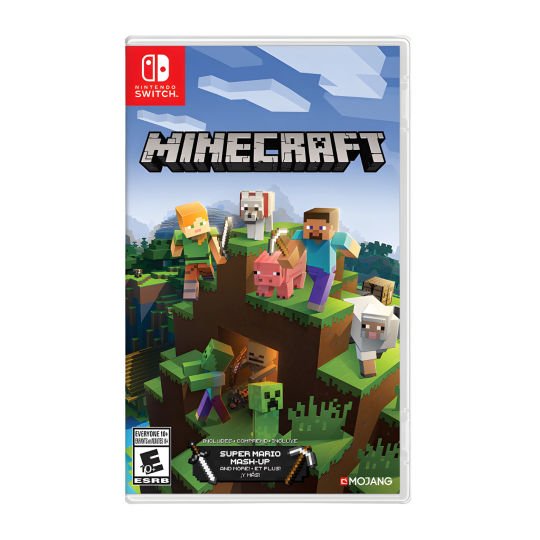 NS Minecraft