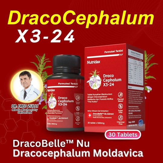 DRACOCHEPHALUM X3-24