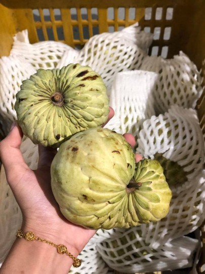 Thailand Nona 1kg