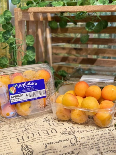 Australia Apricot 1box 500g