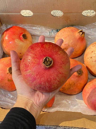 India Pomegranate 1pcs