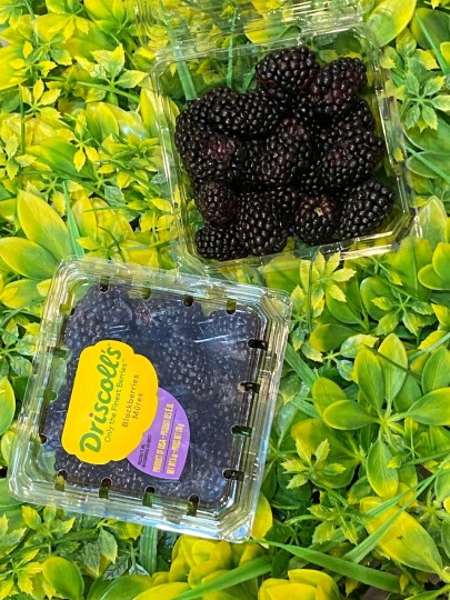China Driscoll's Blackberry 1box (125g)
