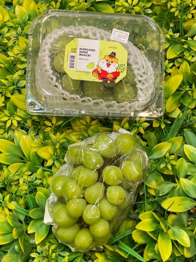 Korea Shine Muscat 1box (450g)