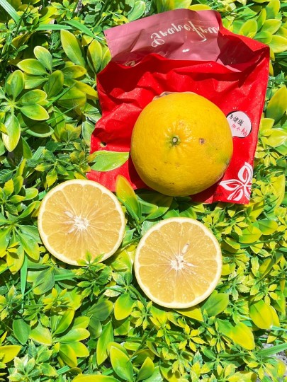 China Sweet Yellow Grapefruit 1pcs