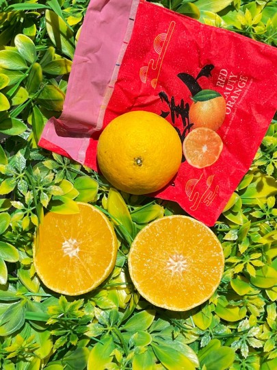 China Hong Mei Ren Mandarin 1kg