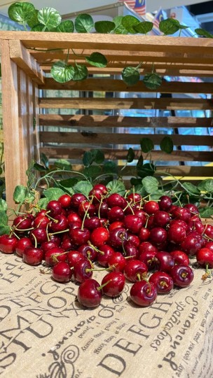 South Africa Cherry 500g