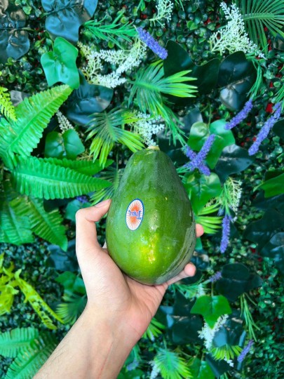 Thailand Solo Papaya 1kg