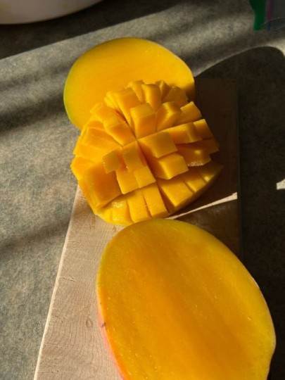 India Mango 1pcs