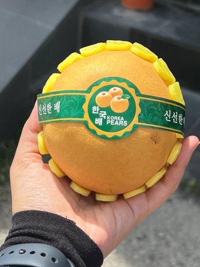 Korea Small Singo Pear 1pcs