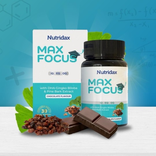 Maxfocus - HN