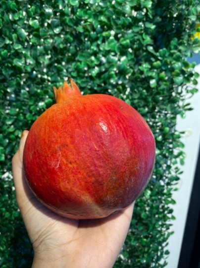 SA POMEGRANATE (1KG)