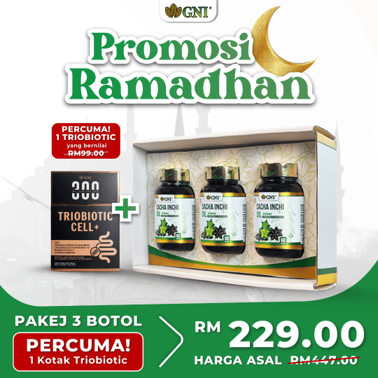 PROMO RAMADHAN 2026