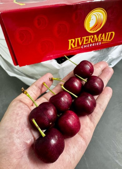 USA CHERRY