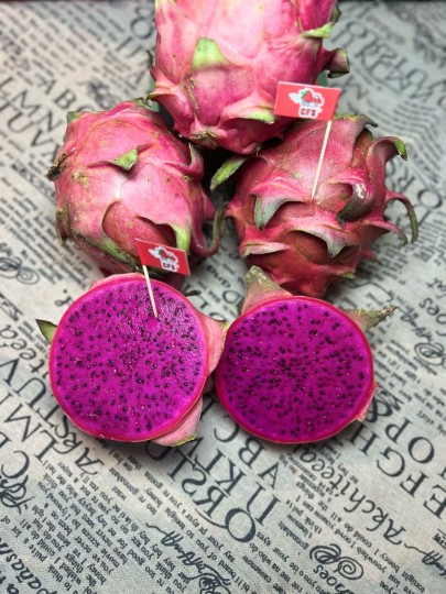 Malaysia Red Pitaya 1KG