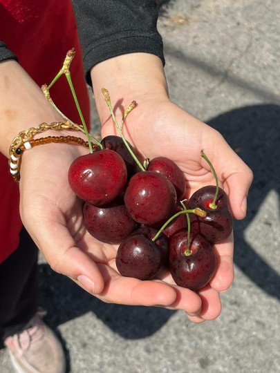 Argentina Cherry 30mm 100g