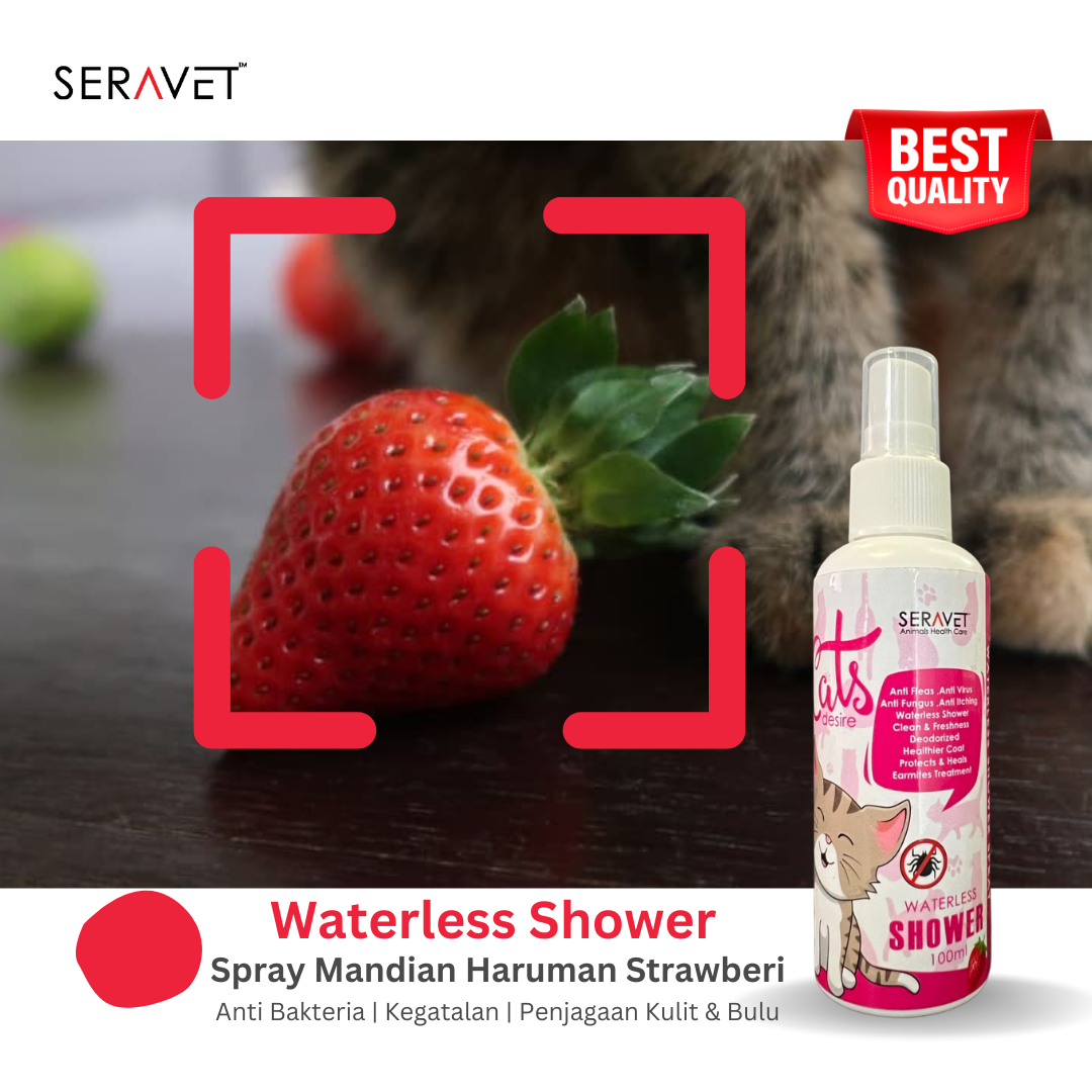 Waterless Shower Strawberry 100ML