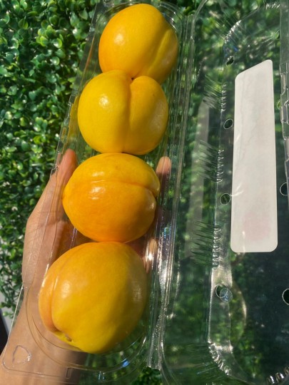 CHINA NECTARINE